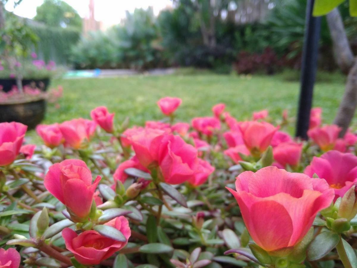 Cove Tevana Seminyak Kültér fotó